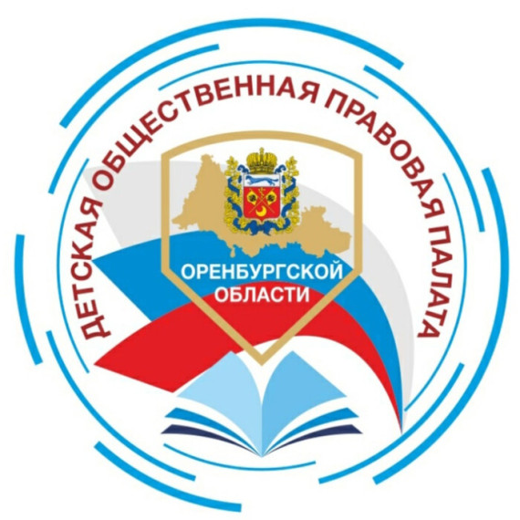 Выборы в Детскую общественную Правовую Палату.